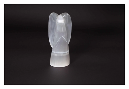 orbitvu|type:image2d