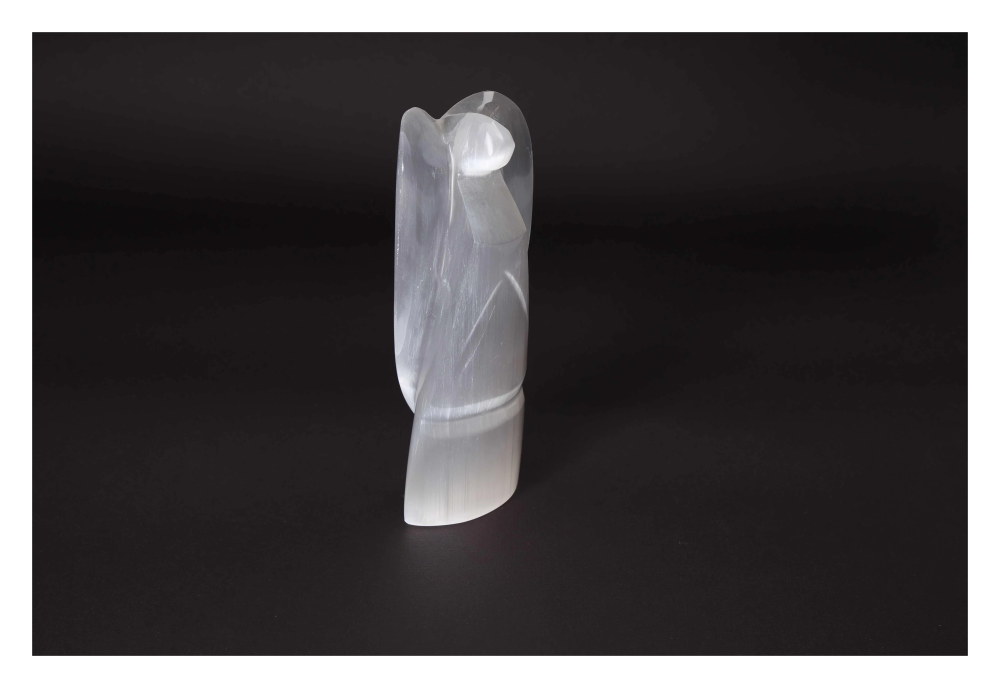 orbitvu|type:image2d