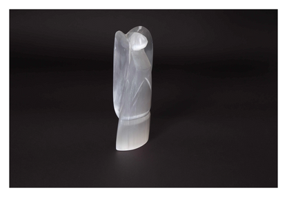 orbitvu|type:image2d