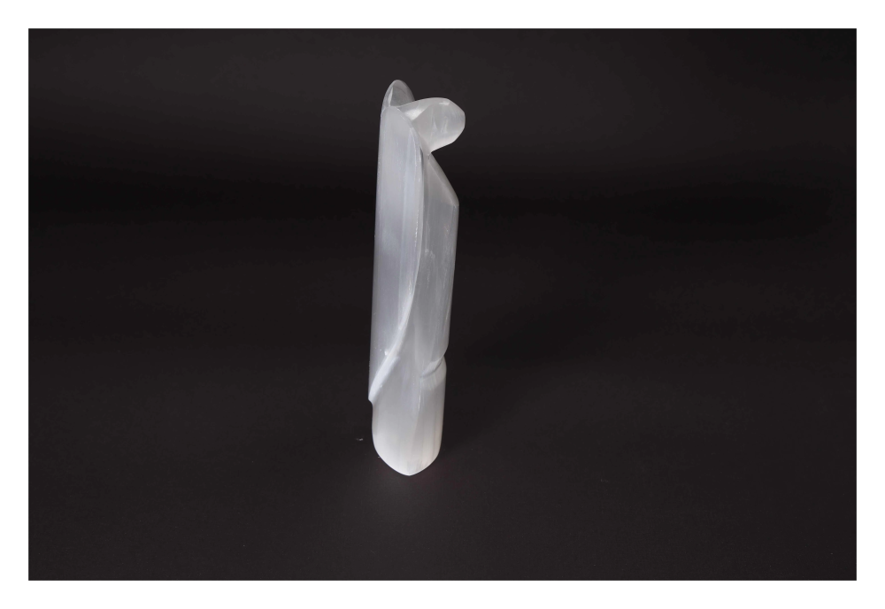 orbitvu|type:image2d