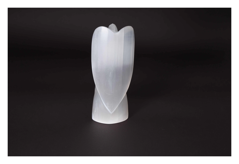 orbitvu|type:image2d