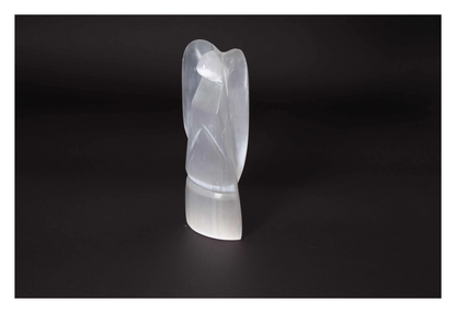 orbitvu|type:image2d