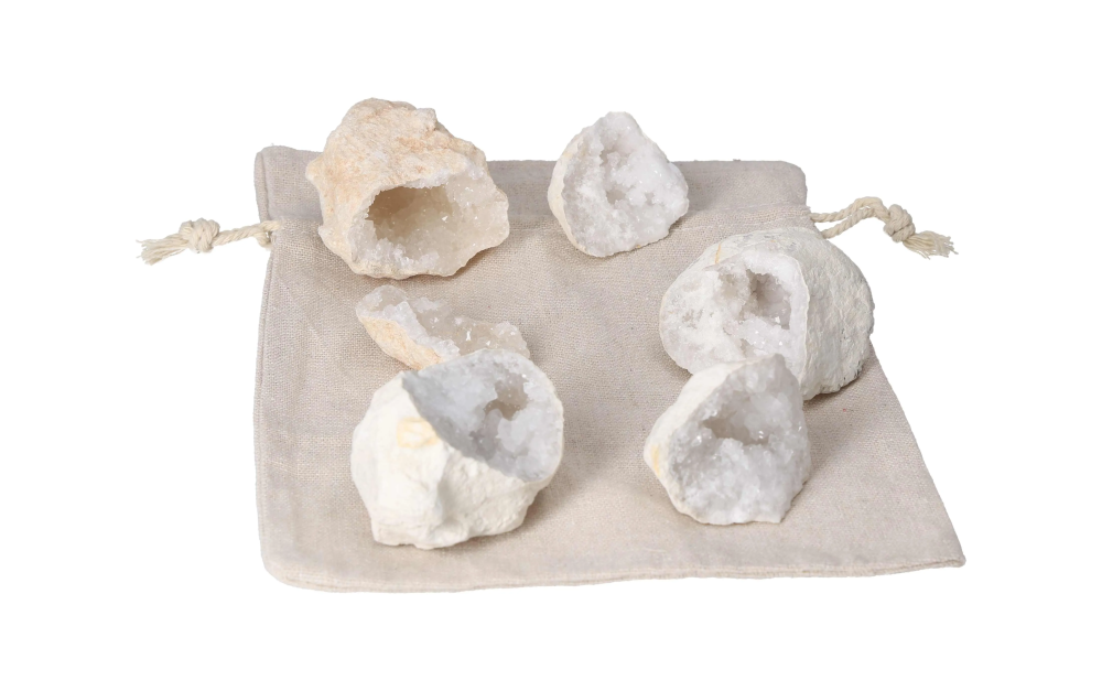 orbitvu|type:image2d