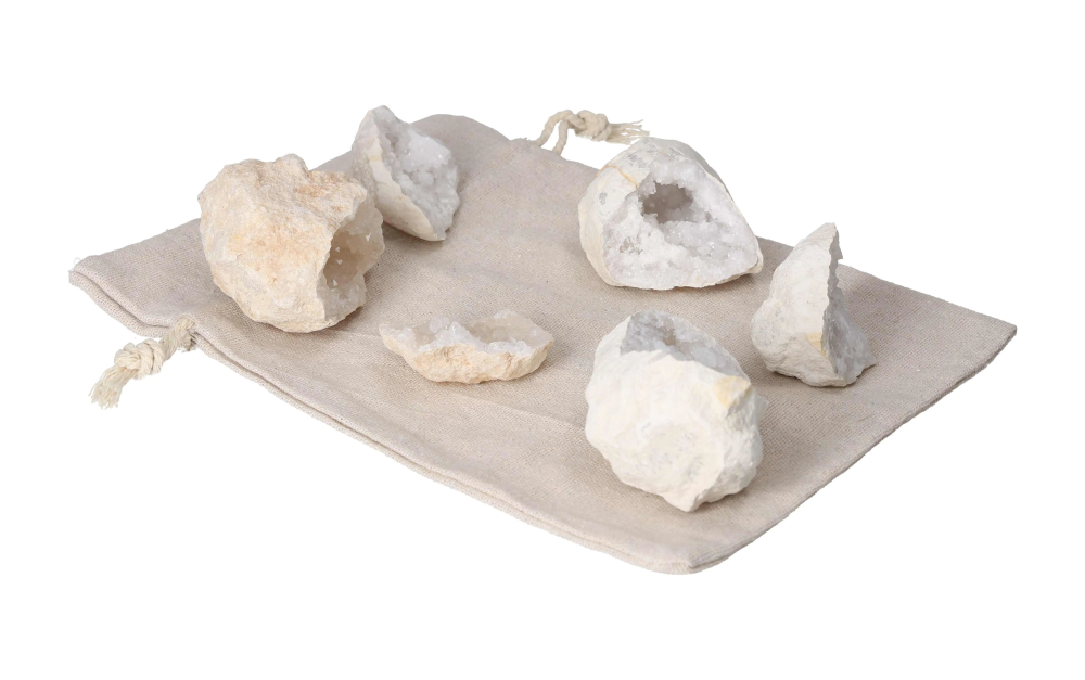 orbitvu|type:image2d