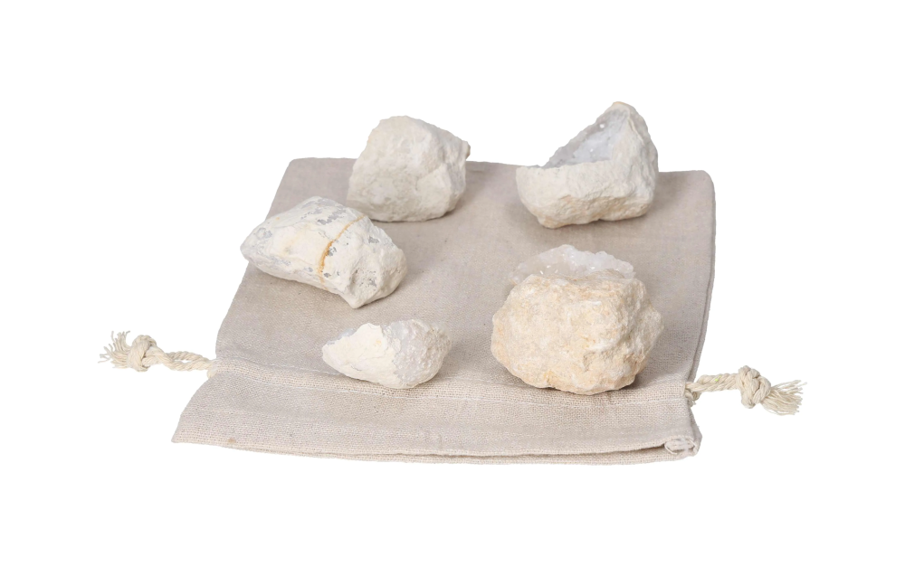 orbitvu|type:image2d