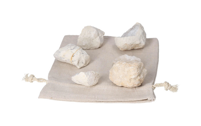 orbitvu|type:image2d