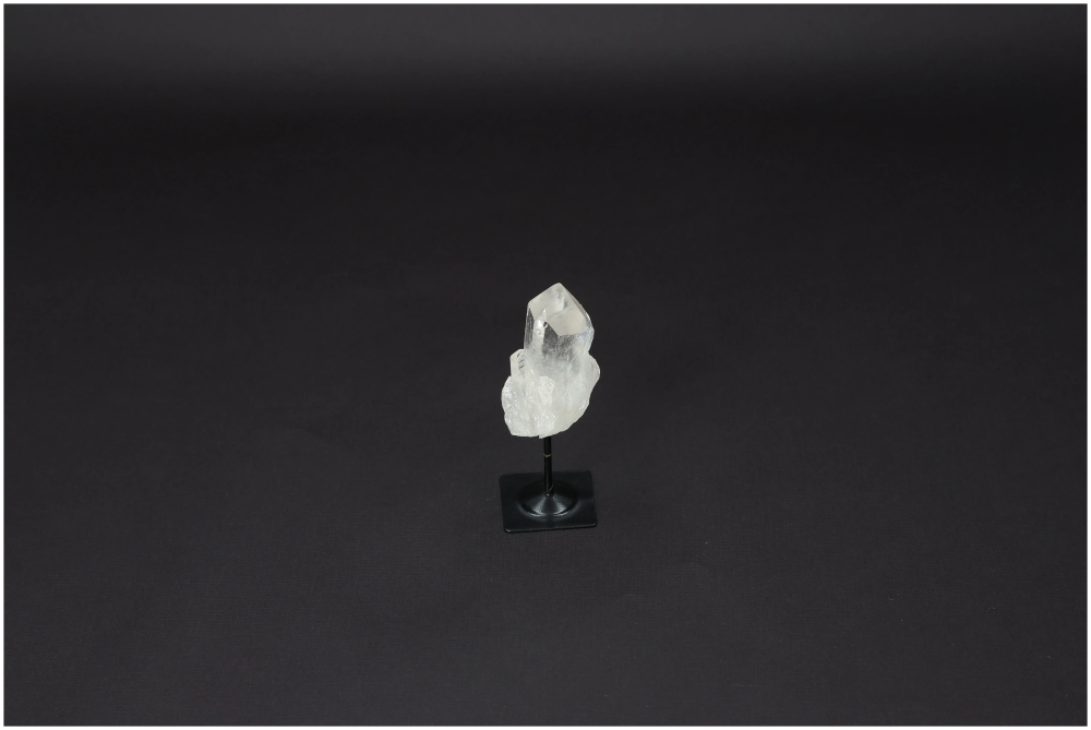 orbitvu|type:image2d