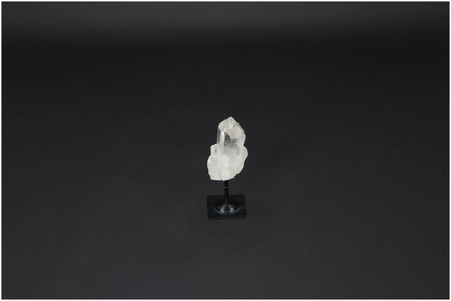 orbitvu|type:image2d