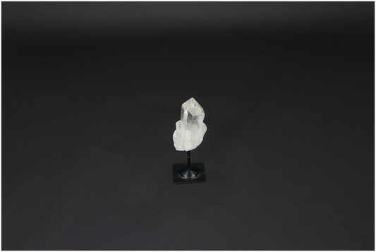 orbitvu|type:image2d