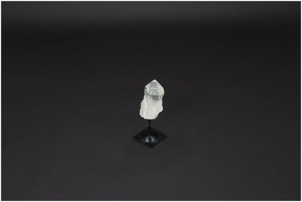 orbitvu|type:image2d