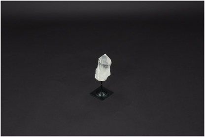 orbitvu|type:image2d