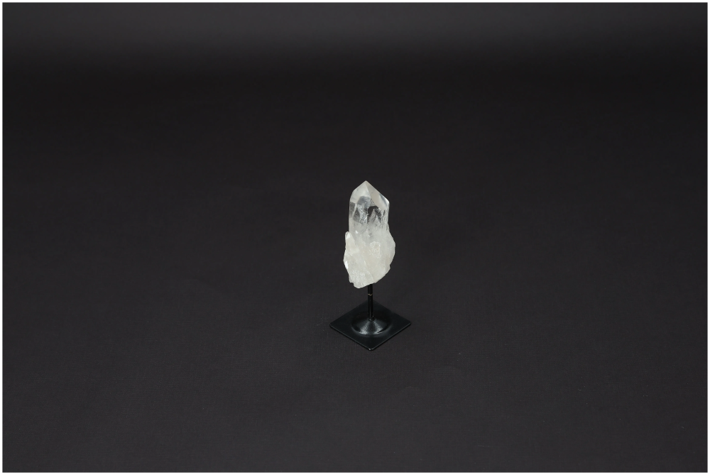 orbitvu|type:image2d