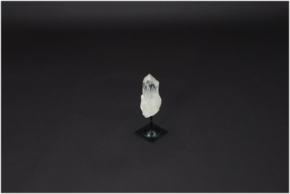 orbitvu|type:image2d