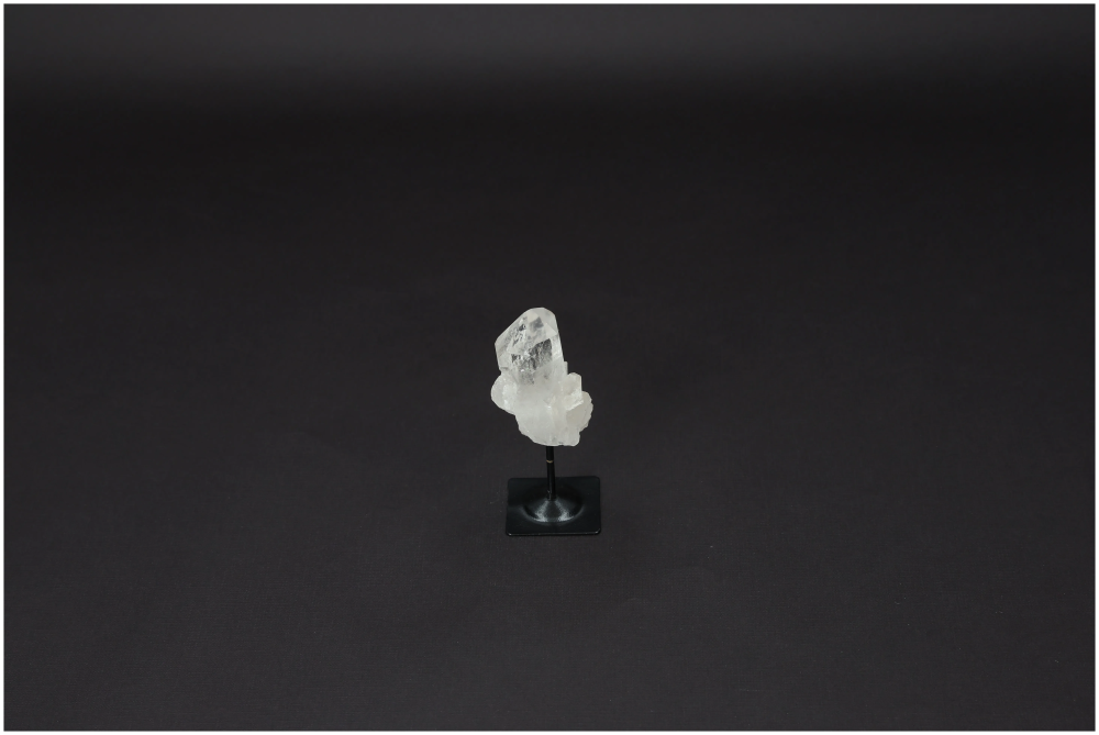 orbitvu|type:image2d