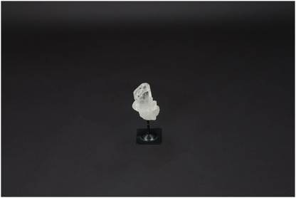 orbitvu|type:image2d