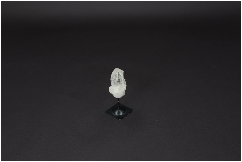 orbitvu|type:image2d