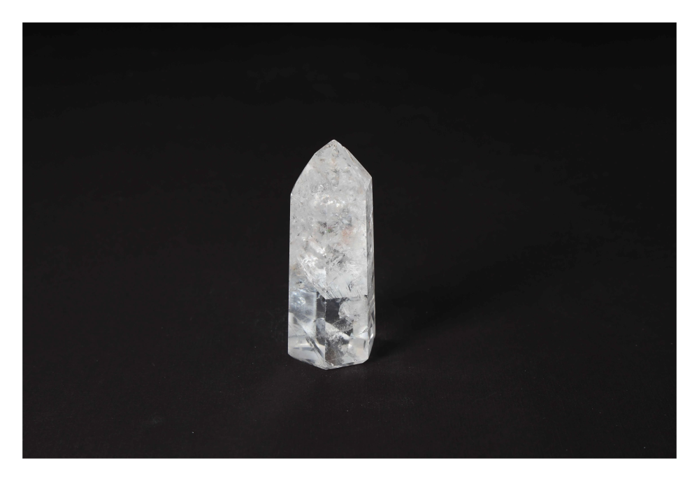 orbitvu|type:image2d