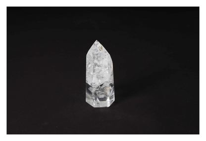 orbitvu|type:image2d