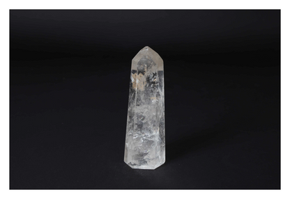 orbitvu|type:image2d