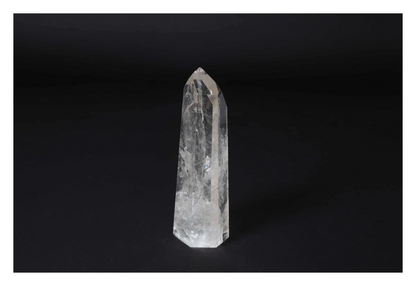 orbitvu|type:image2d