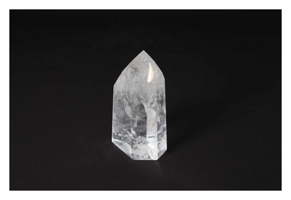 orbitvu|type:image2d