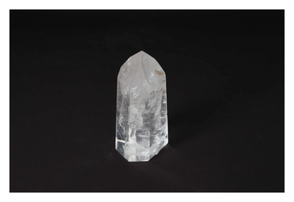 orbitvu|type:image2d