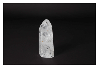 orbitvu|type:image2d