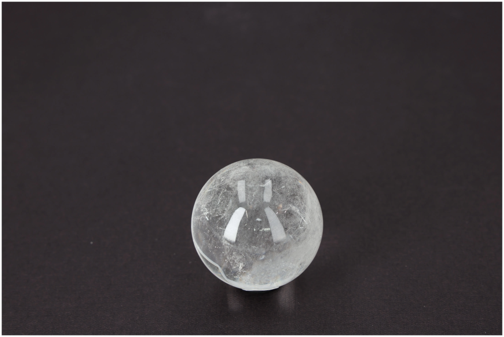 orbitvu|type:image2d