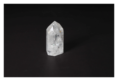 orbitvu|type:image2d