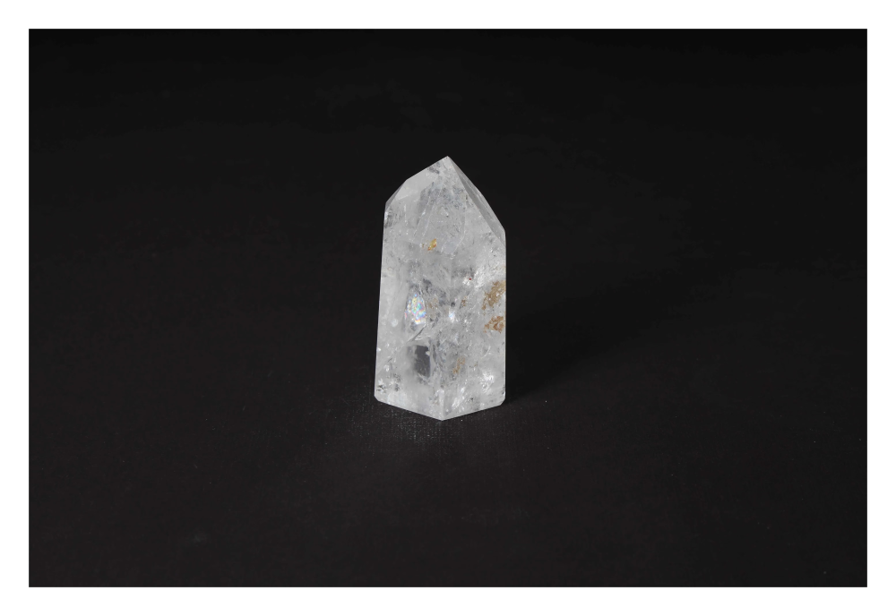 orbitvu|type:image2d