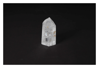 orbitvu|type:image2d