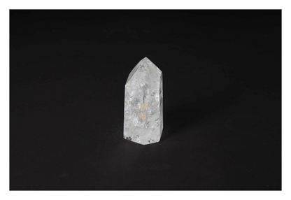 orbitvu|type:image2d