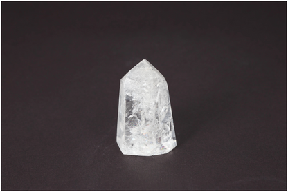 orbitvu|type:image2d