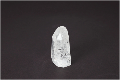 orbitvu|type:image2d