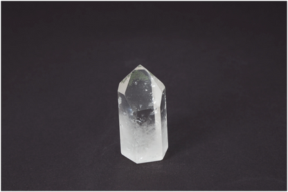 orbitvu|type:image2d