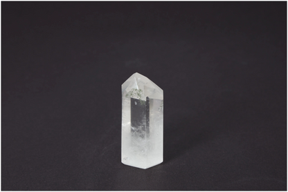 orbitvu|type:image2d