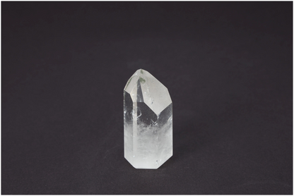 orbitvu|type:image2d