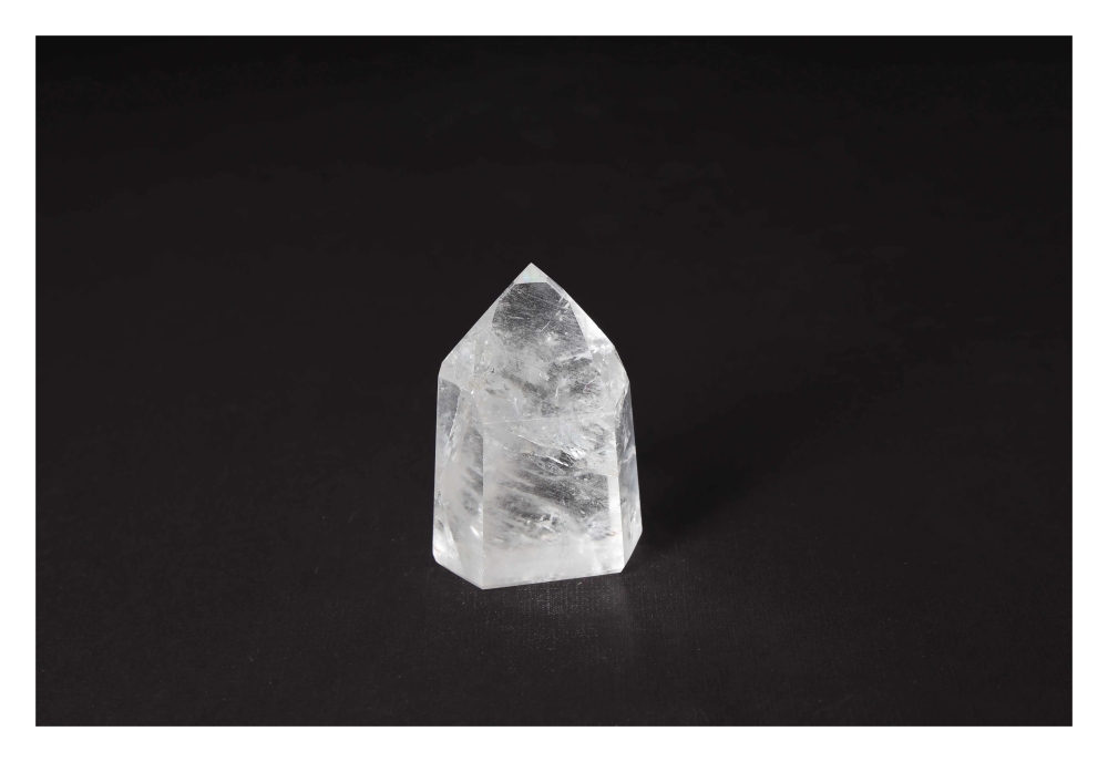 orbitvu|type:image2d