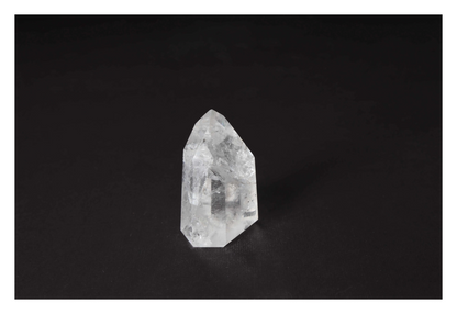 orbitvu|type:image2d