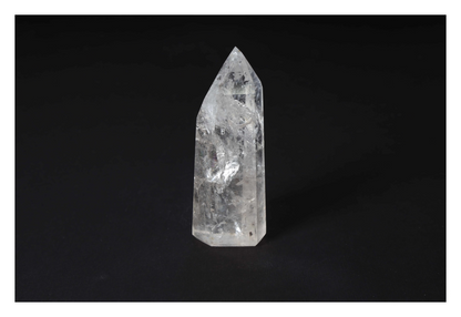 orbitvu|type:image2d