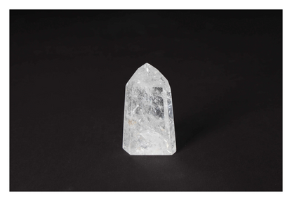 orbitvu|type:image2d