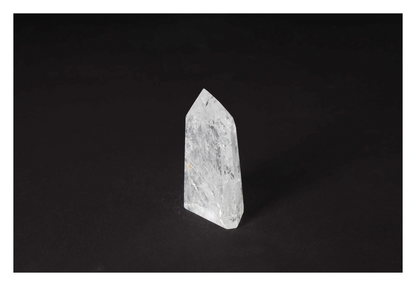 orbitvu|type:image2d