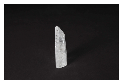 orbitvu|type:image2d