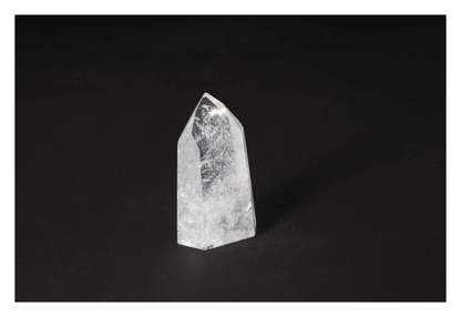 orbitvu|type:image2d