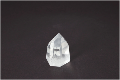 orbitvu|type:image2d