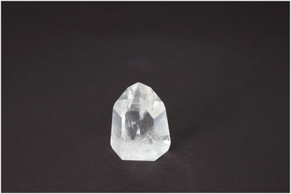 orbitvu|type:image2d