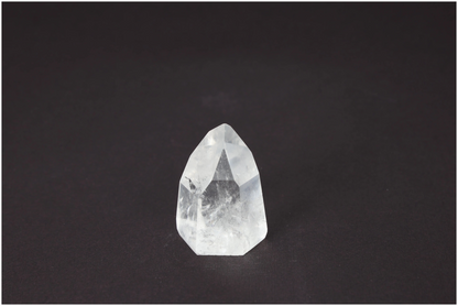 orbitvu|type:image2d