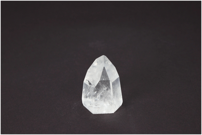 orbitvu|type:image2d