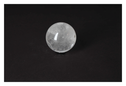 orbitvu|type:image2d