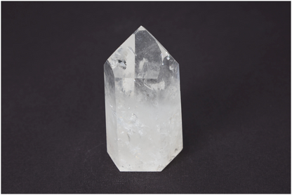 orbitvu|type:image2d